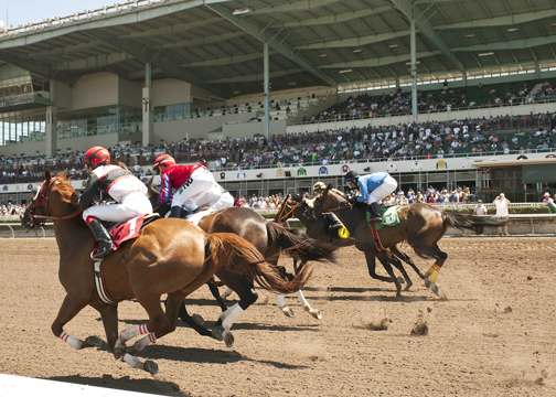 Los Alamitos Race Course racing
