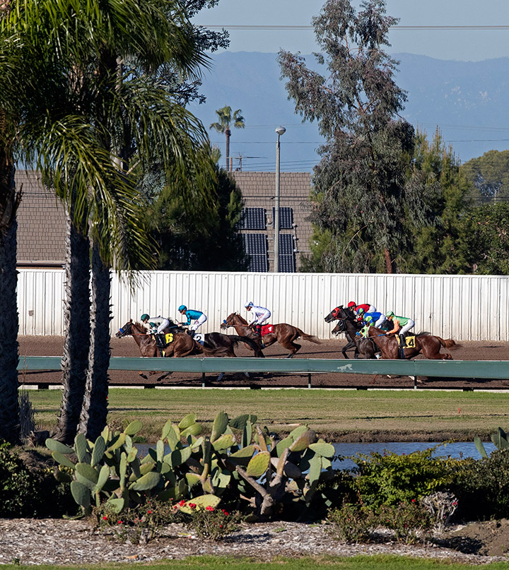 Los Alamitos Race Course