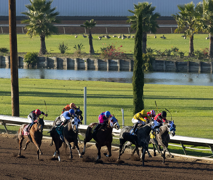 Dirt racing at Los Alamitos Race Course