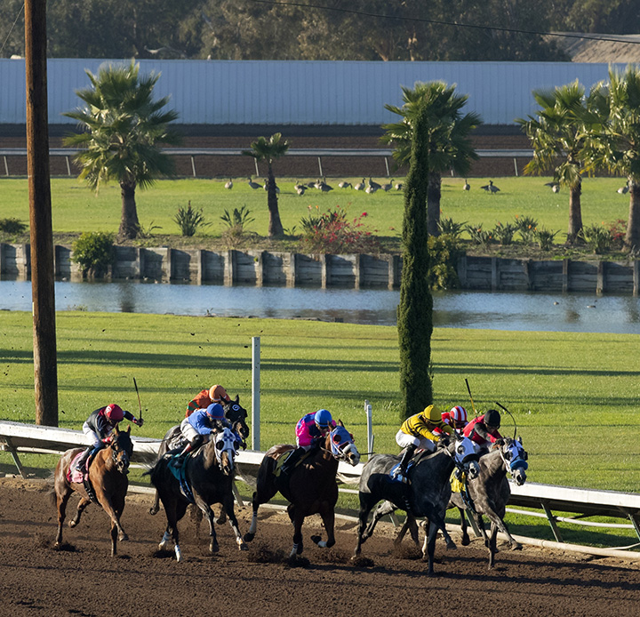 Dirt racing at Los Alamitos Race Course
