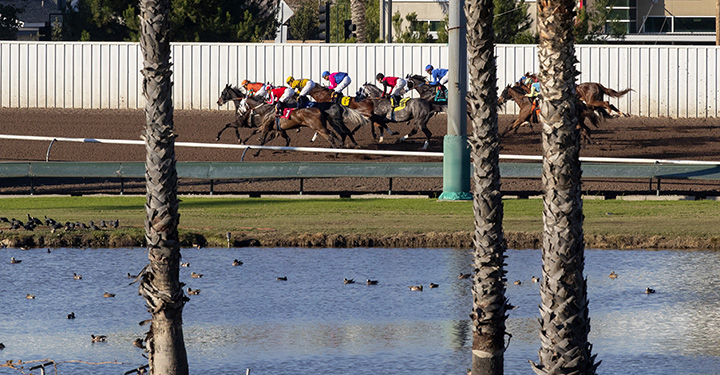 Racing at Los Alamitos Race Course