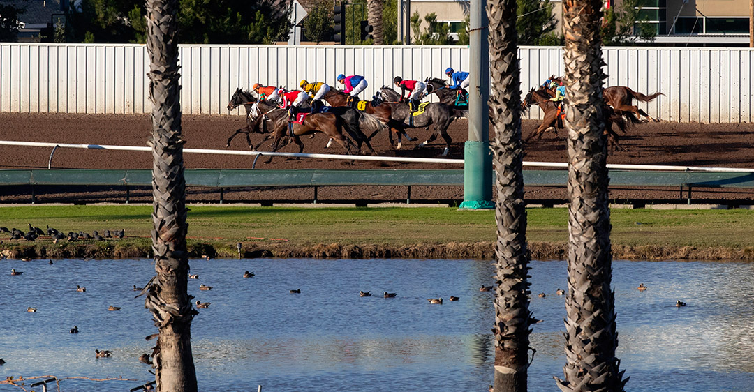 Los Alamitos Race Course