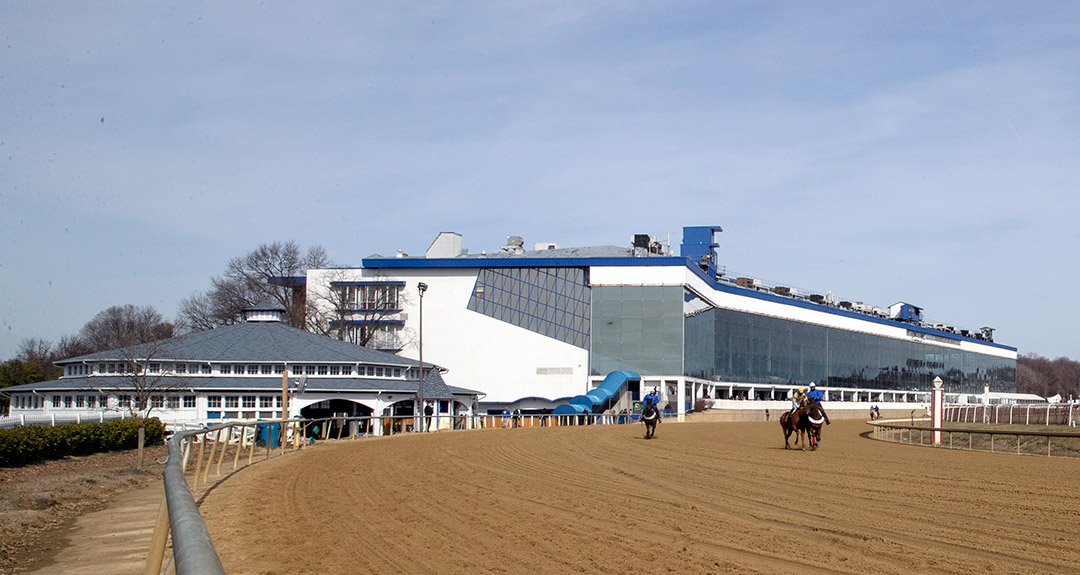 Laurel Park, 2020