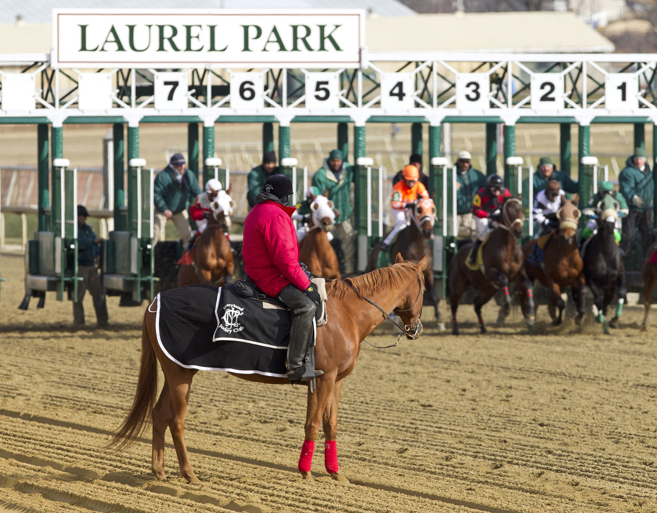 Laurel Park