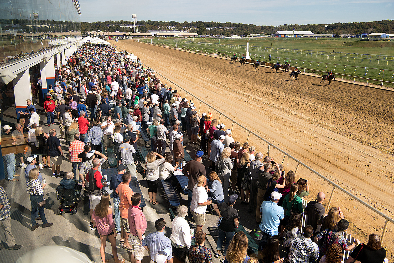 Laurel Park racing
