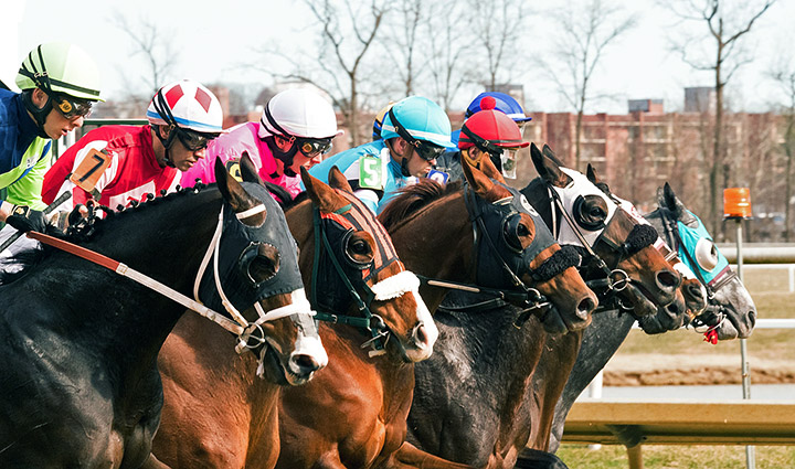 Laurel Park race start
