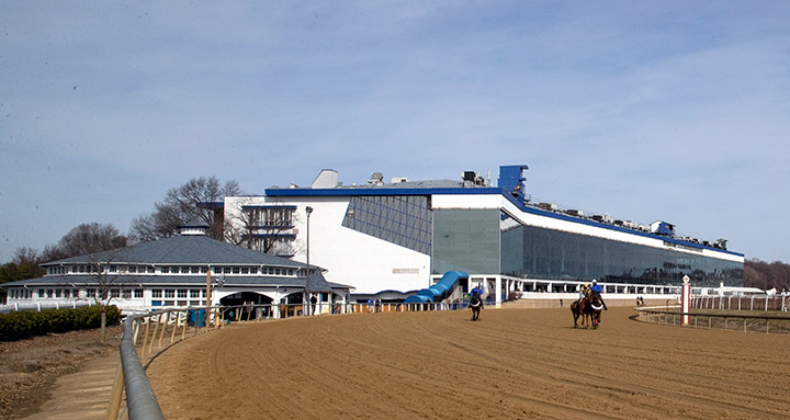Laurel Park February 2020