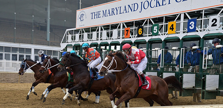 Laurel Park starting gate