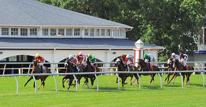 Laurel Park turf racing