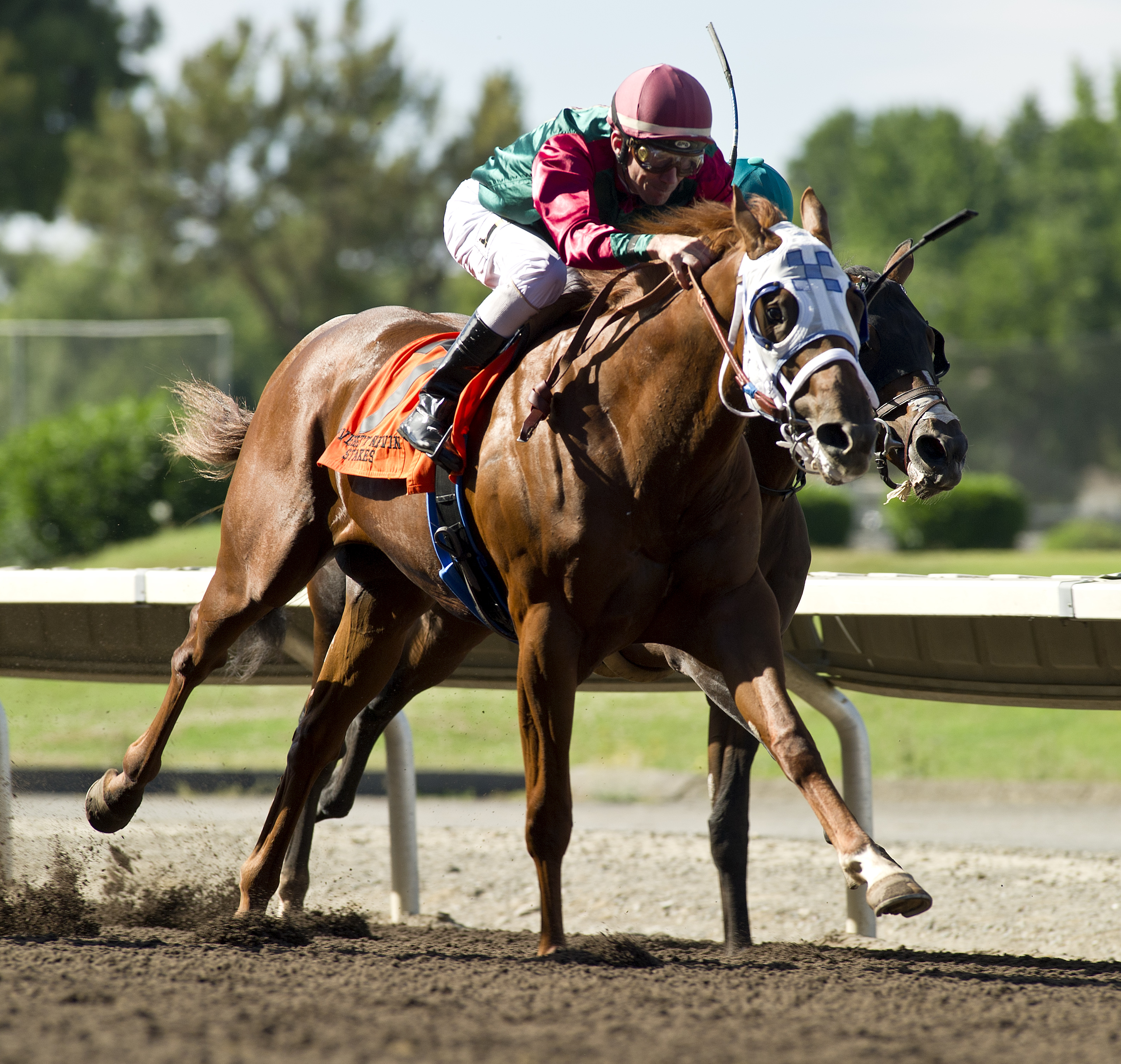 Luck-s Royal Flush wins the 2018 Everett Nevin Stakes