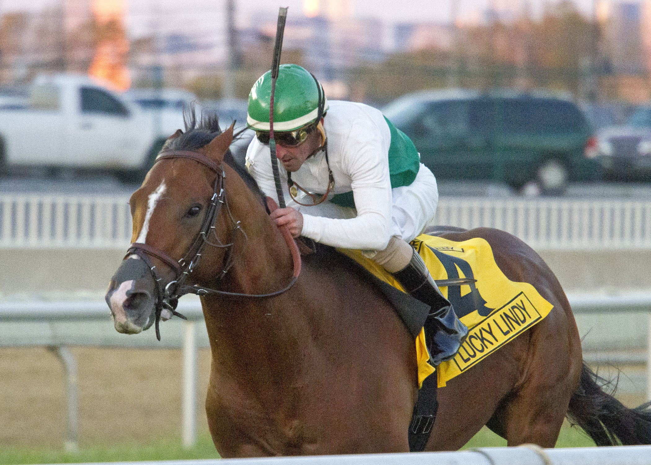 Lucky Lindy 10-17-2015