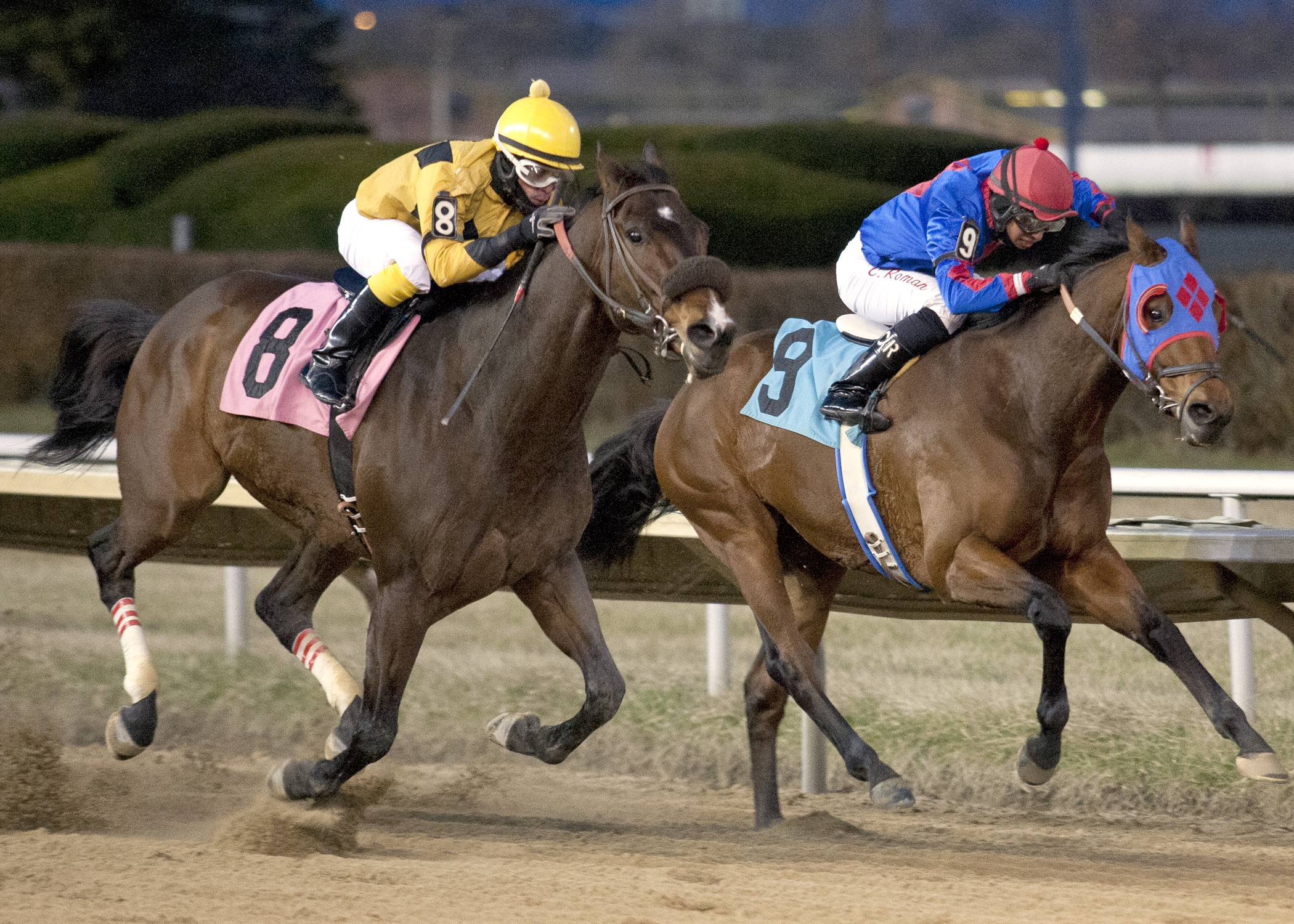 Luv Bandit wins 2014 Lightning Jet