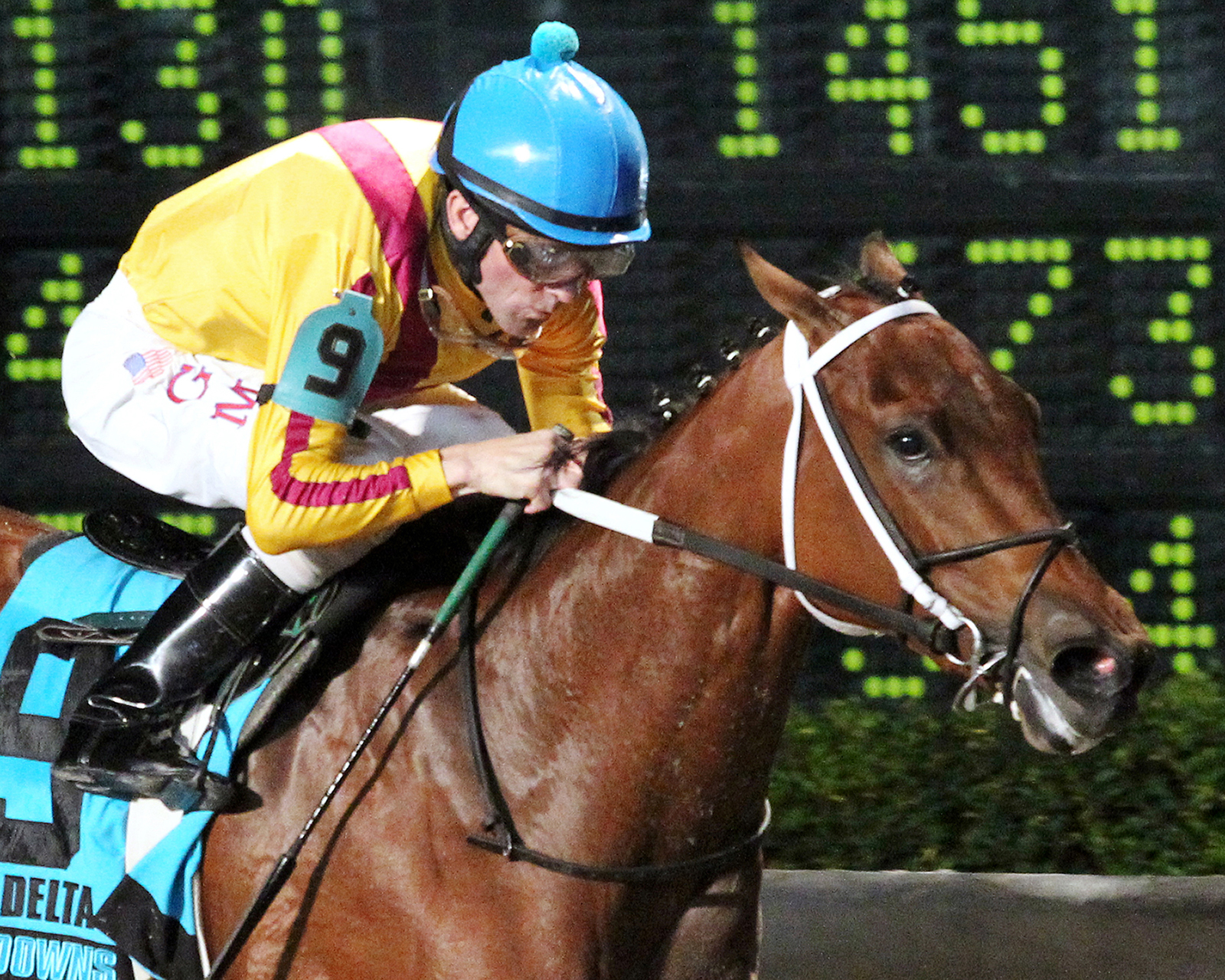 La Appassionata wins the My Trusty Cat