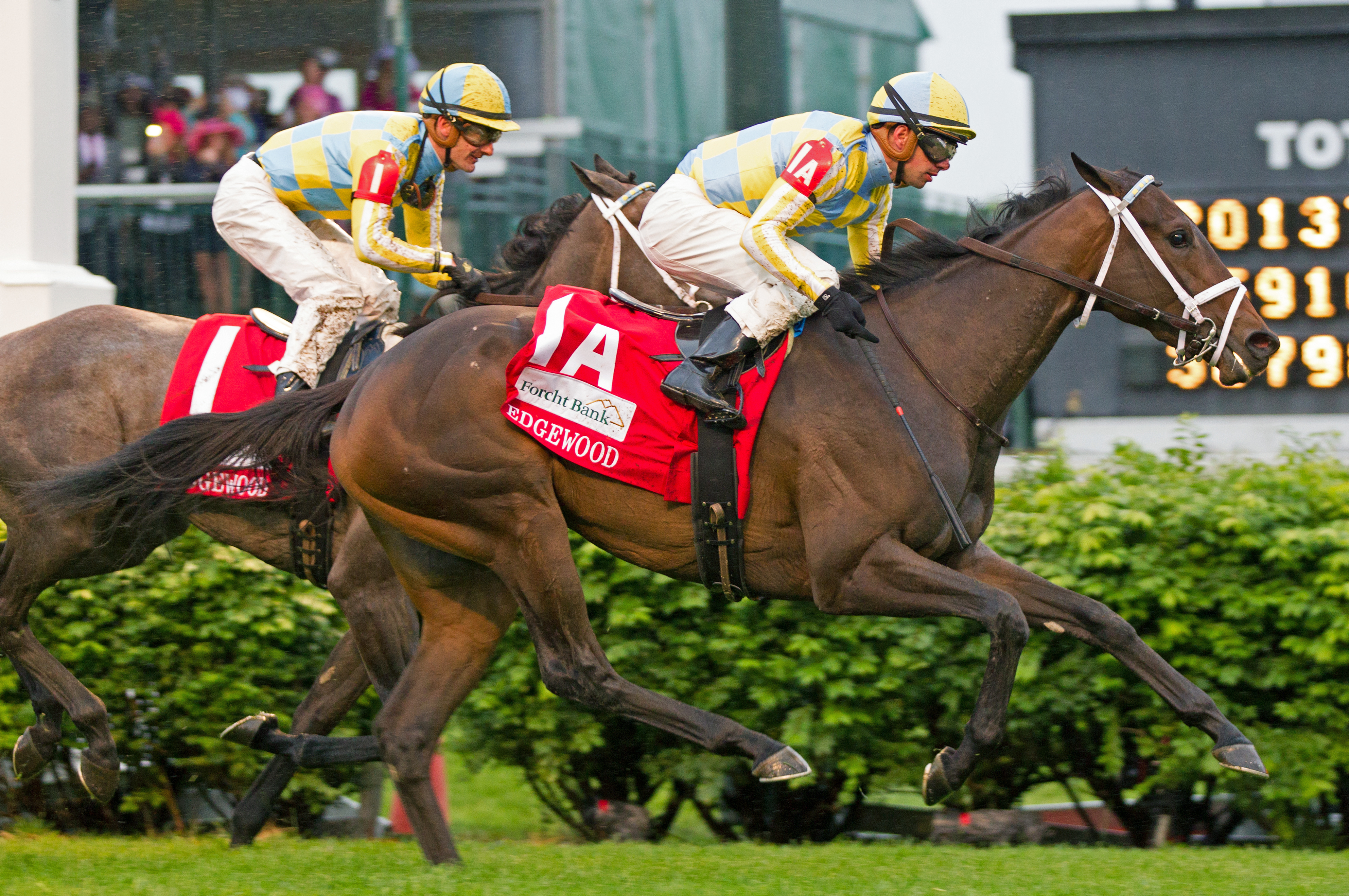 La Coronel wins the Edgewood Stakes
