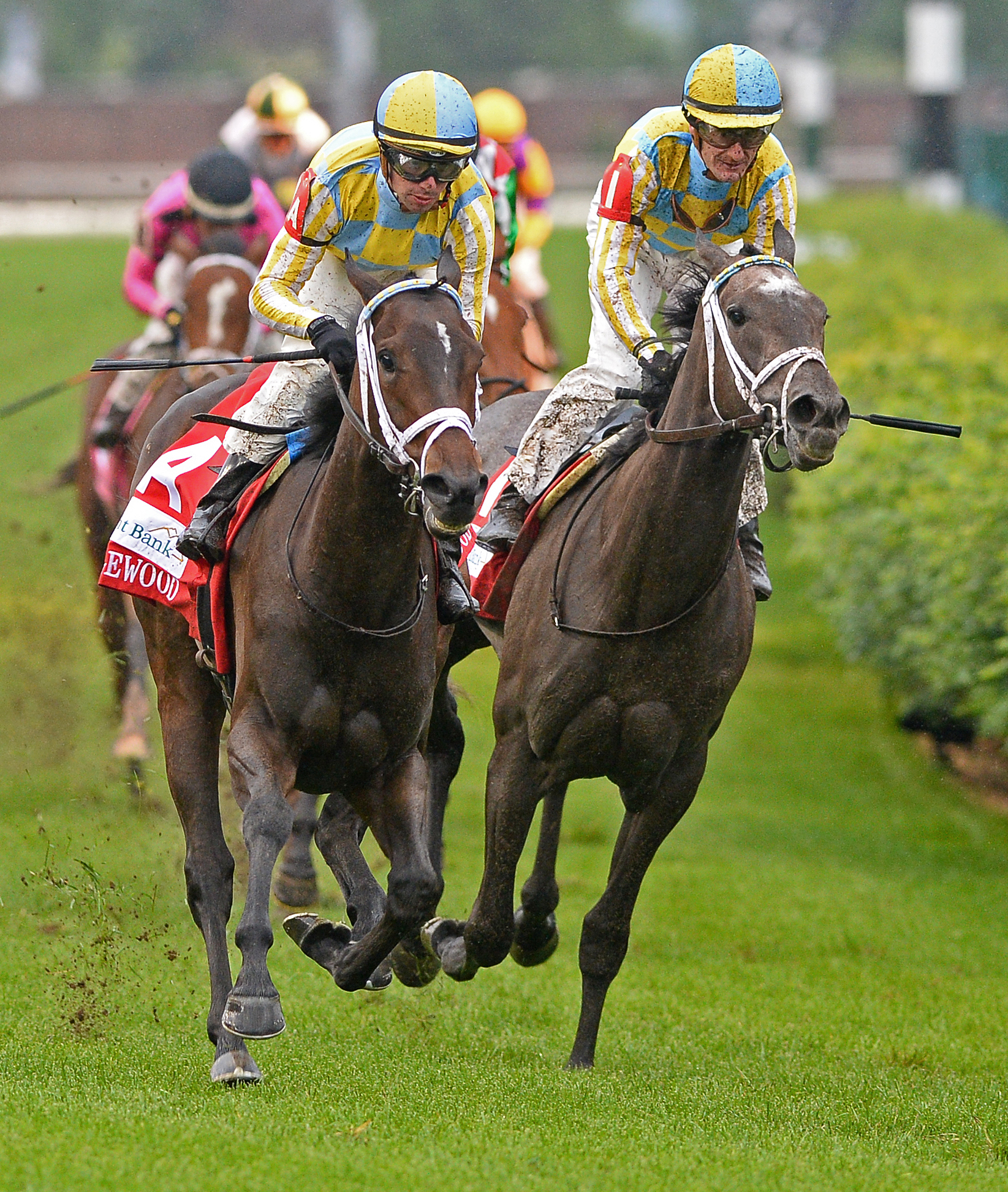 La Coronel wins the Edgewood Stakes