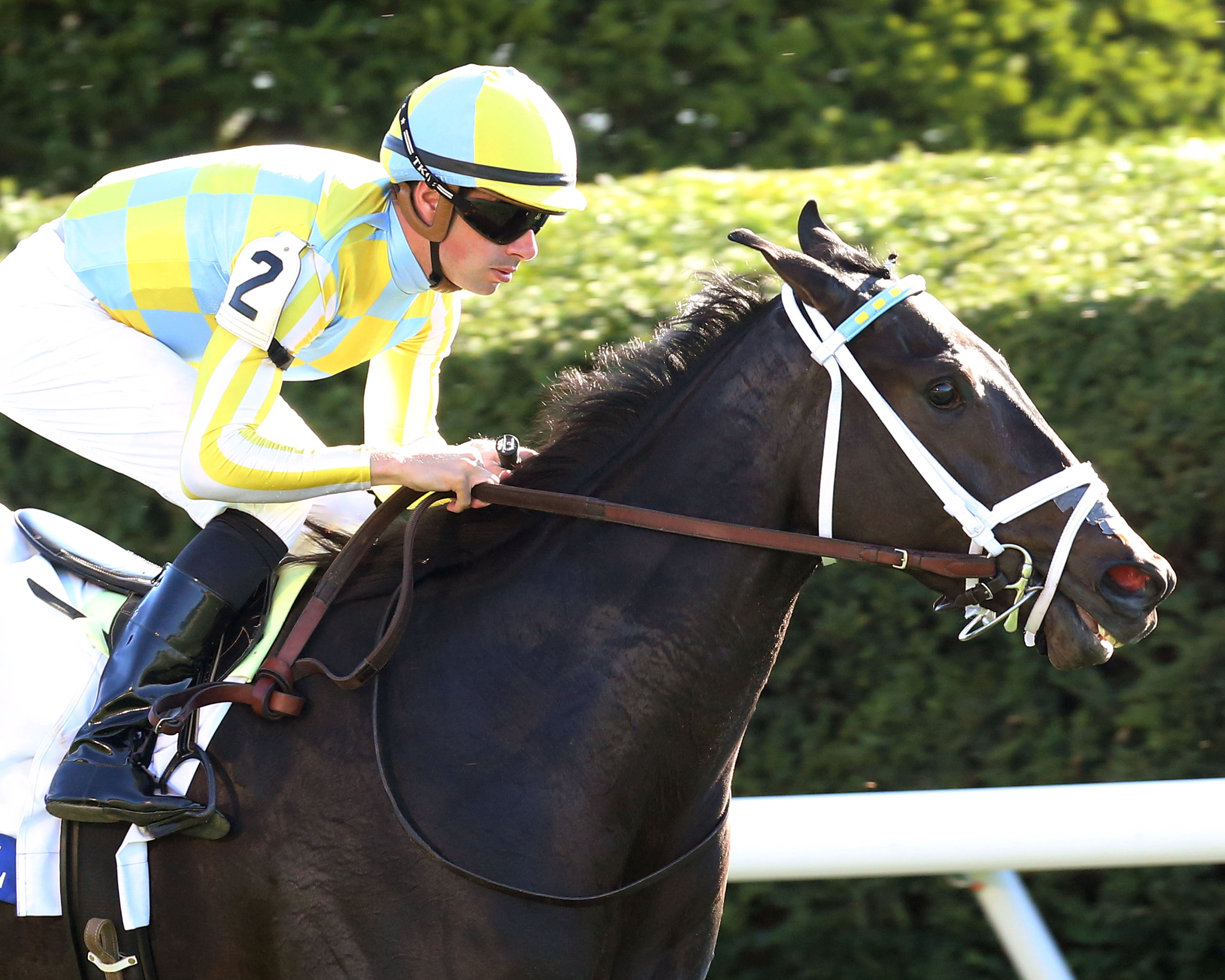 La Coronel wins the Jessamine