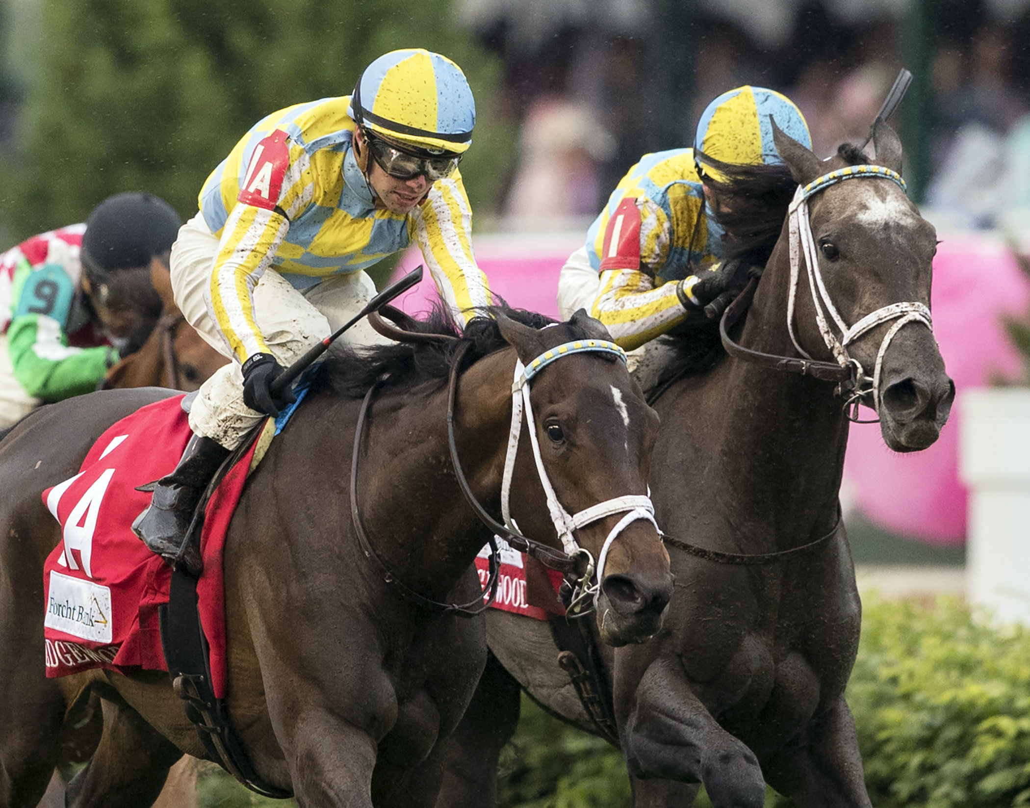 Dream Dancing finishes second in the Edgewood Stakes