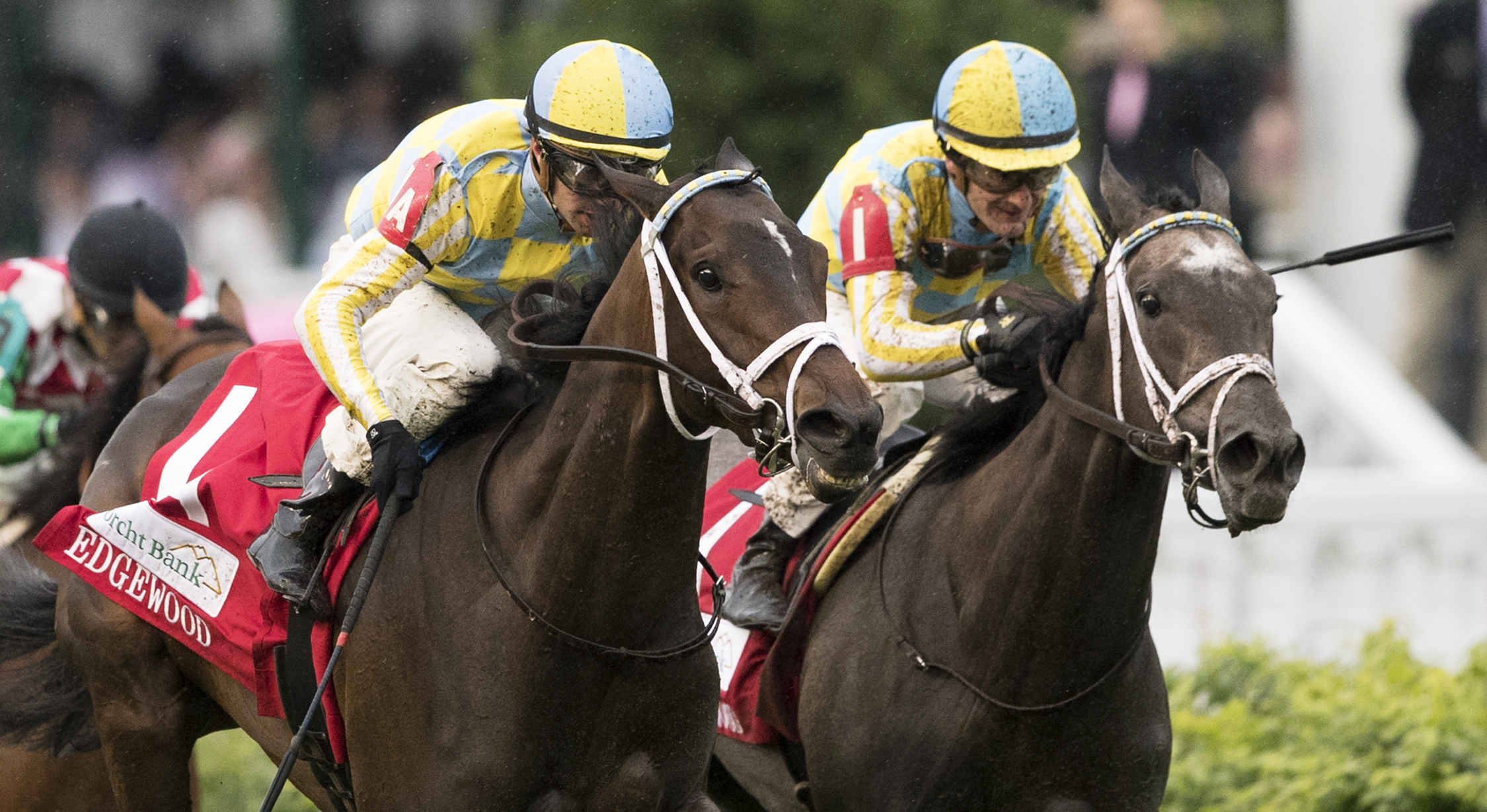 La Coronel and Dream Dancing finish first and second in the 2017 Edgewood