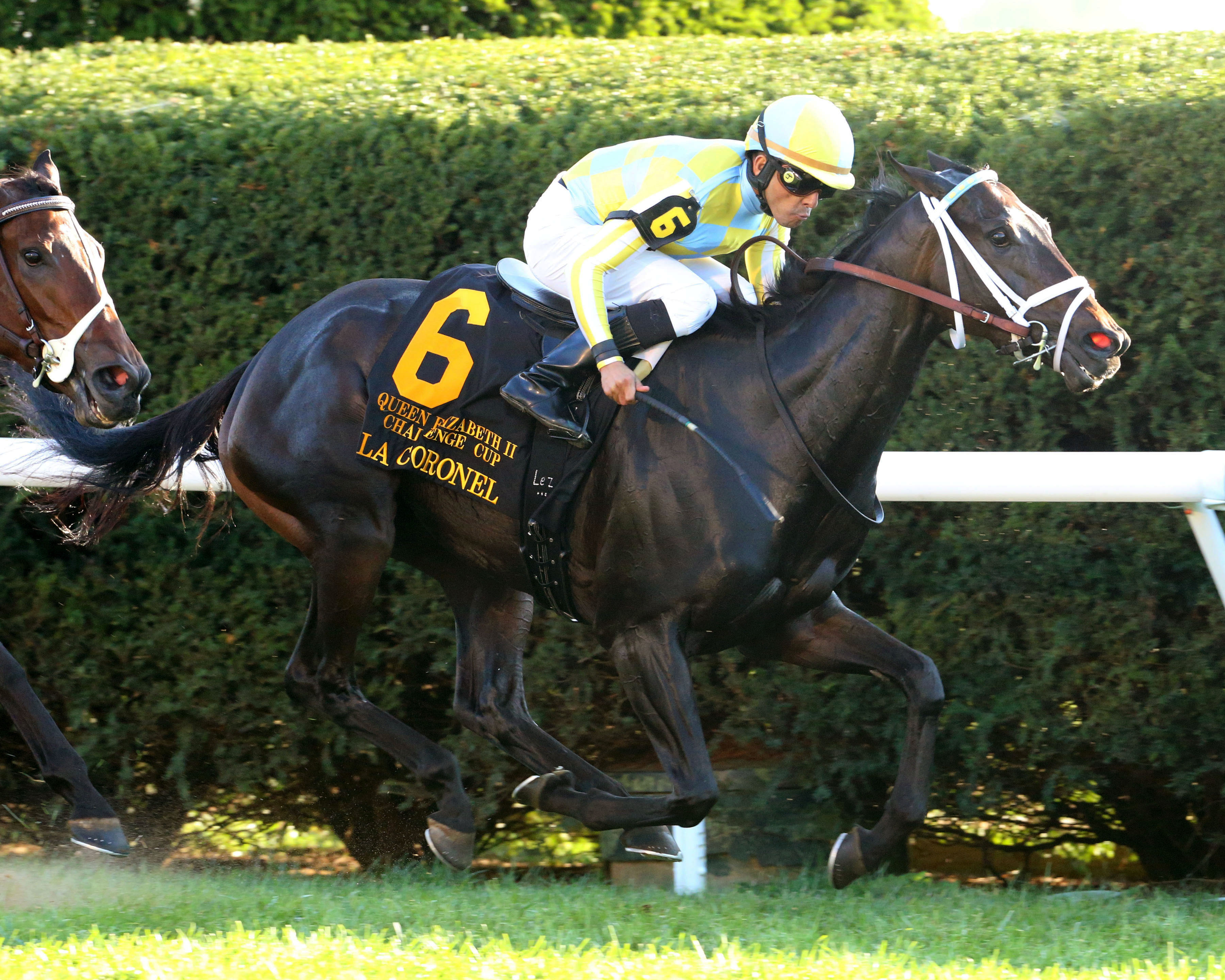 La Coronel wins the 2017 Queen Elizabeth II Cup
