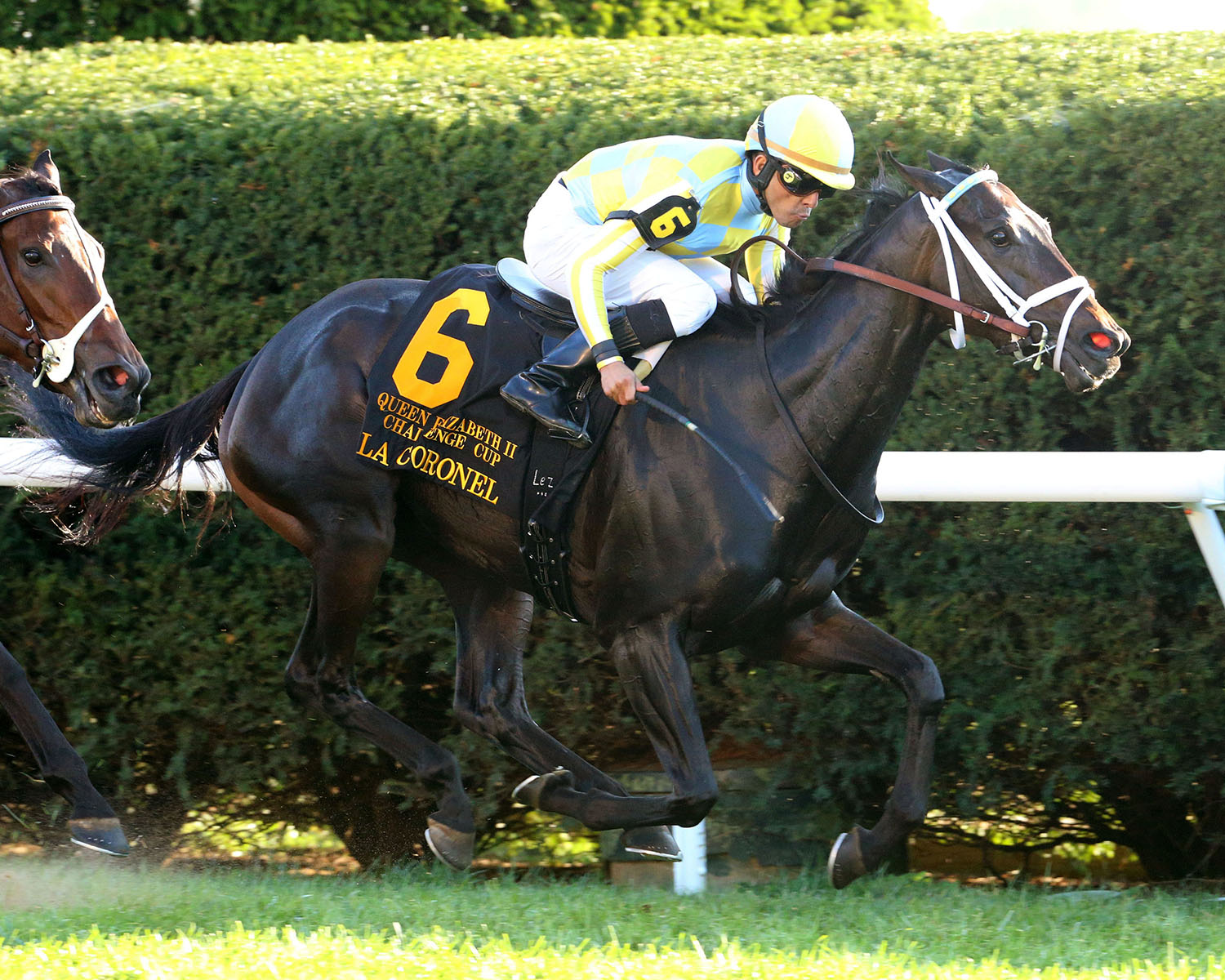 La Coronel wins the 2017 Queen Elizabeth II Cup