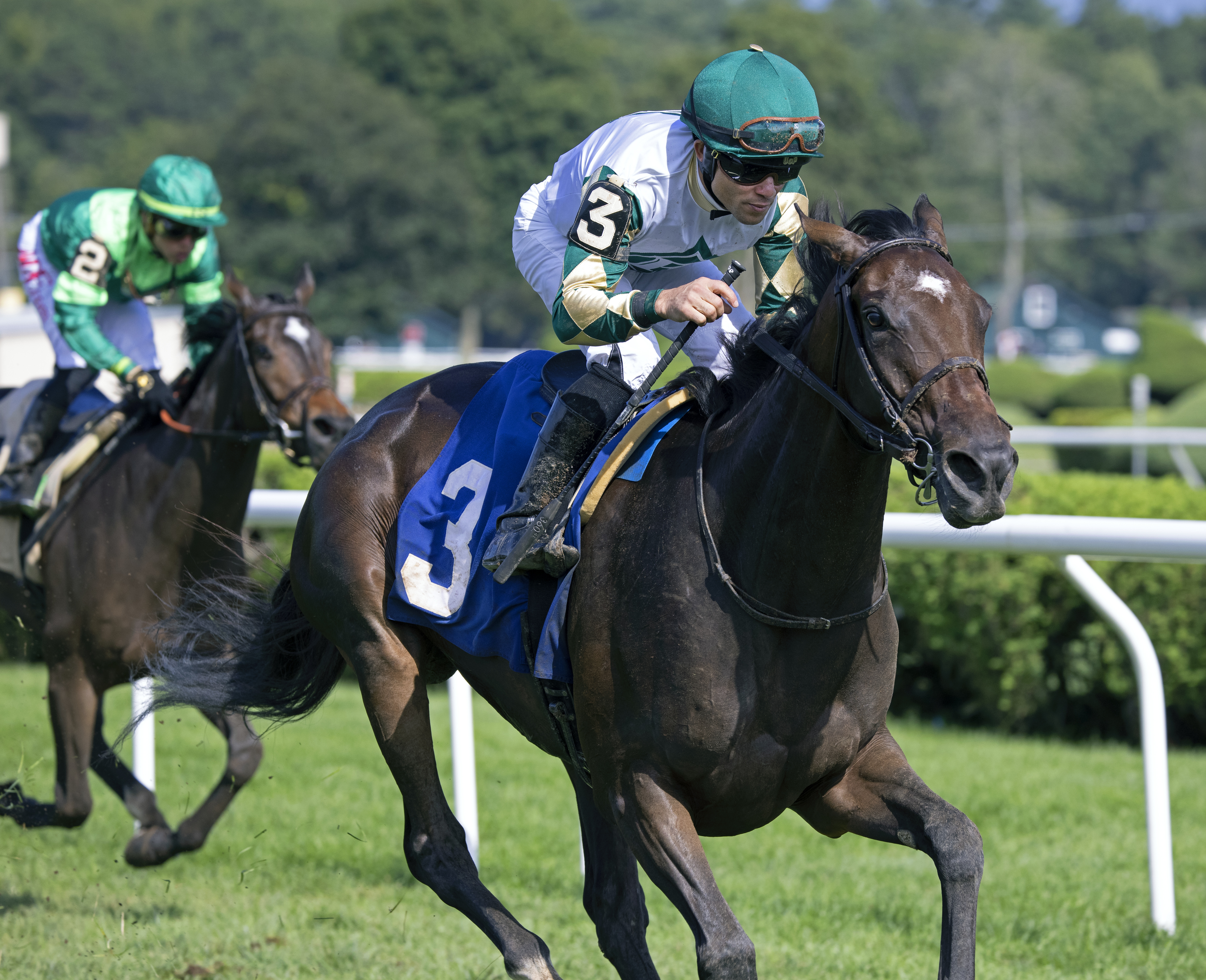 La Dragontea/Saratoga allowance