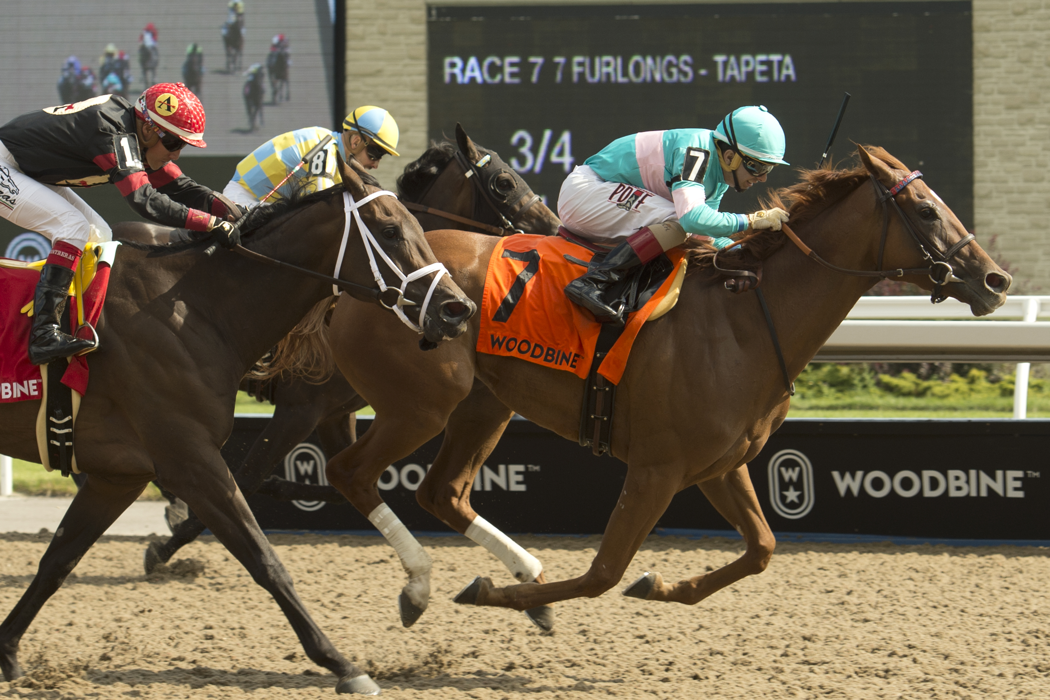 La Feve wins the 2019 Duchess Stakes