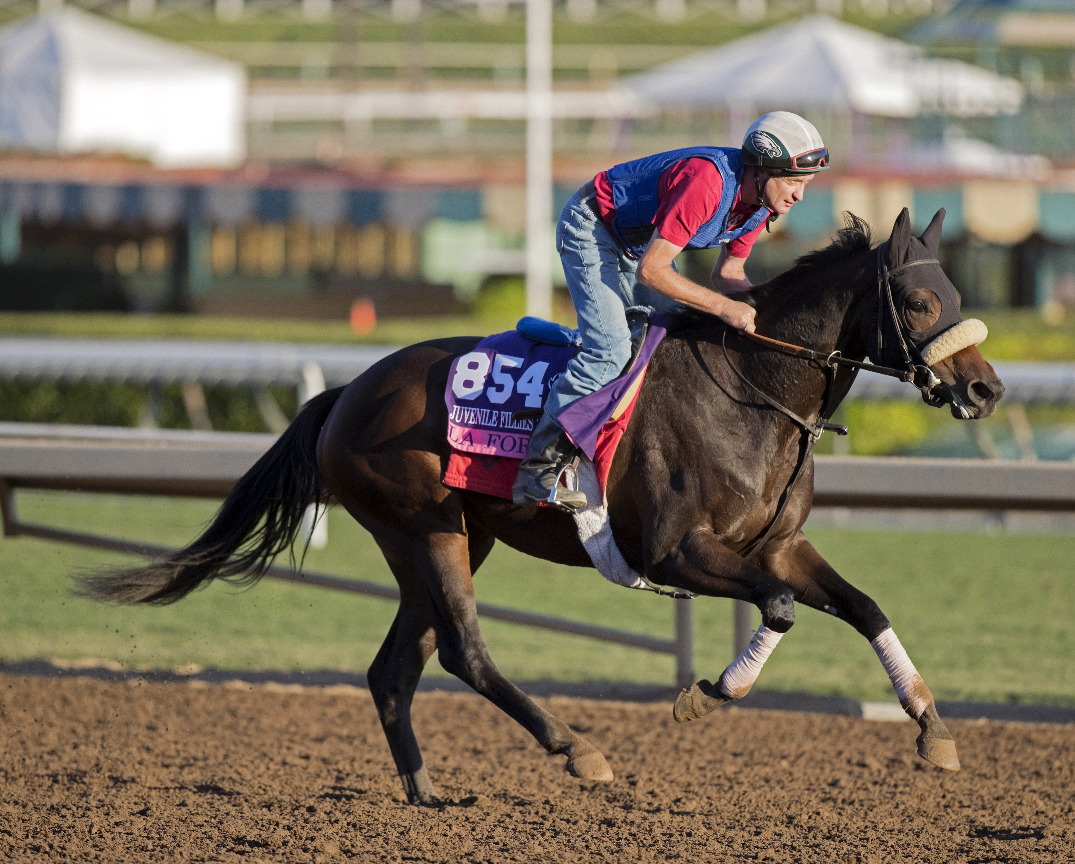 La Force trains at Santa Anita before the 2016 Breeders' Cup