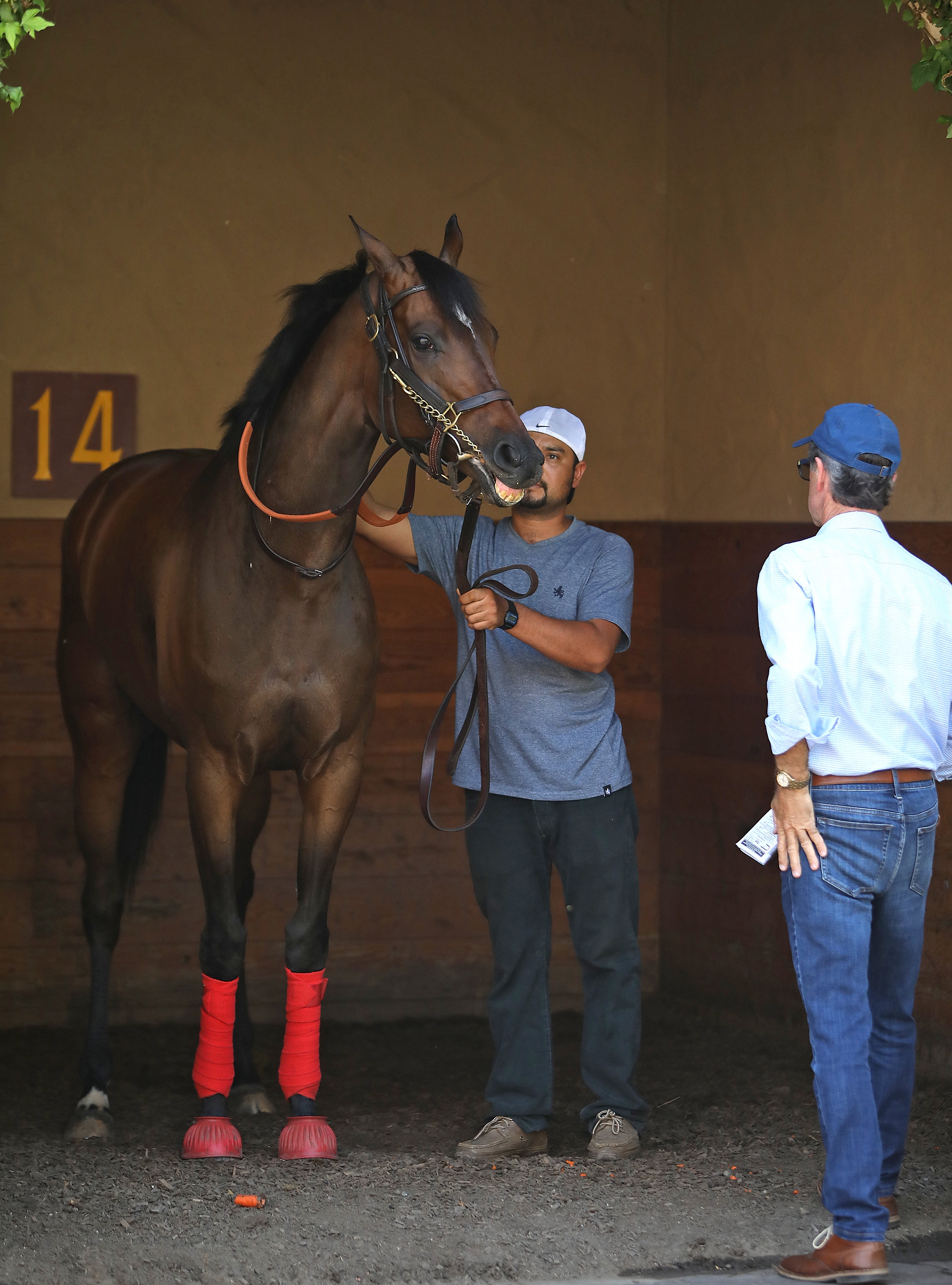 La Force in the paddock at Del Mar on 7.27.19