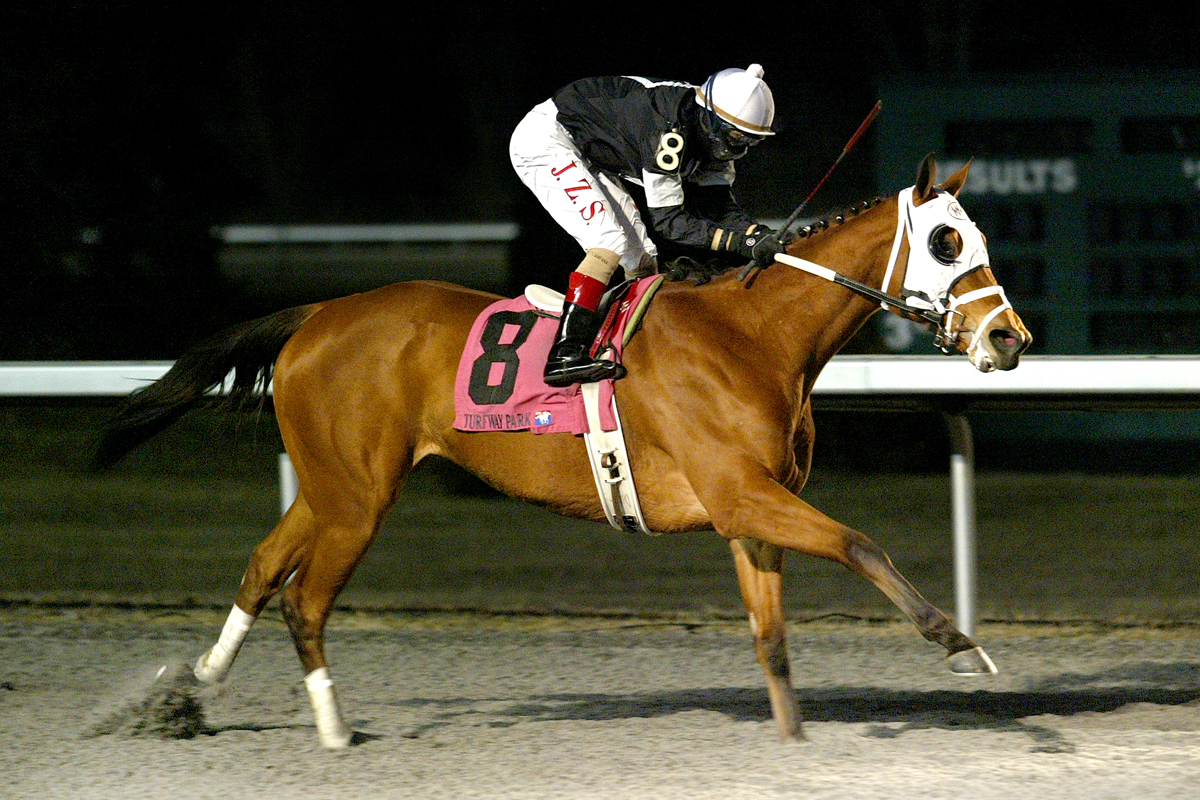 La Gran Bailadora 2-12-2011
