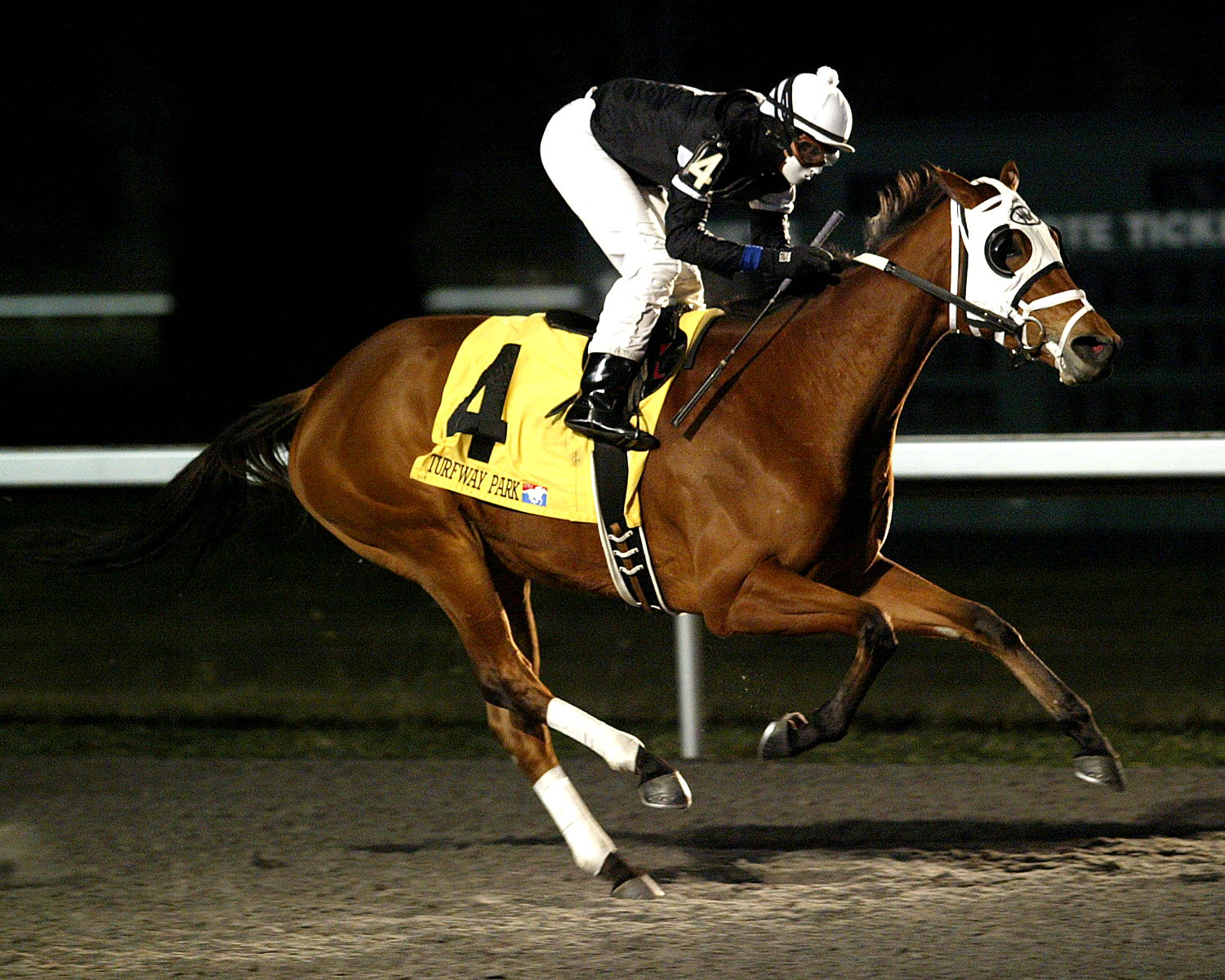 La Gran Bailadora 12-10-2011