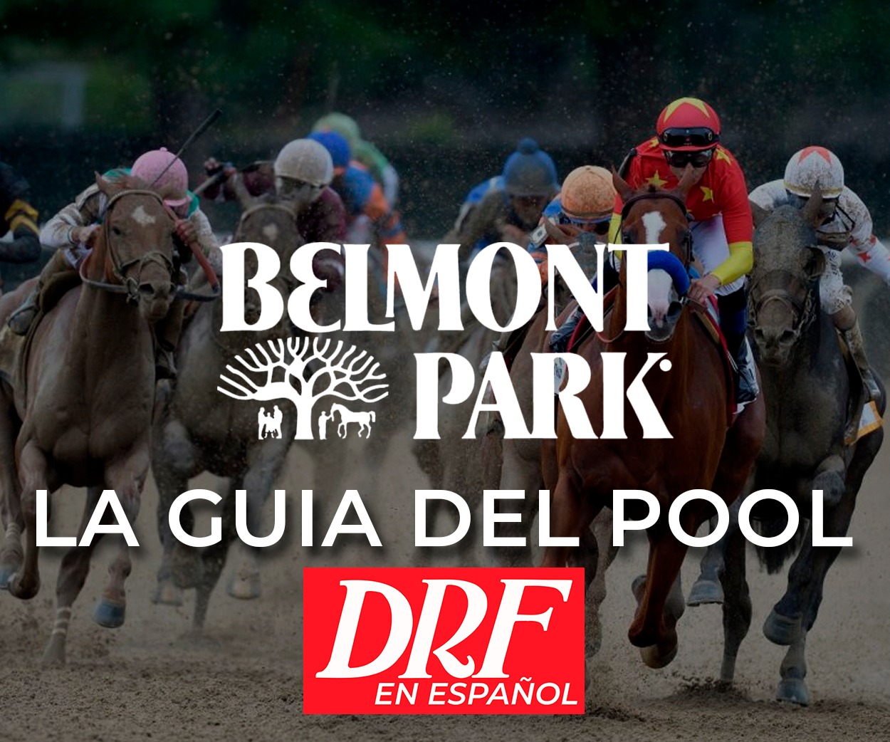 La Guia del Pool - Belmont Park