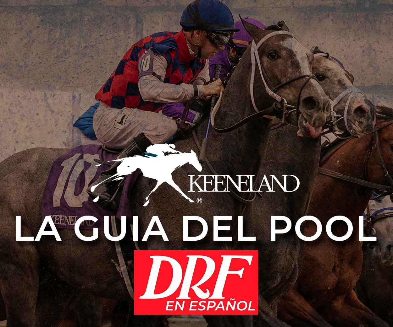 La Guia del Pool