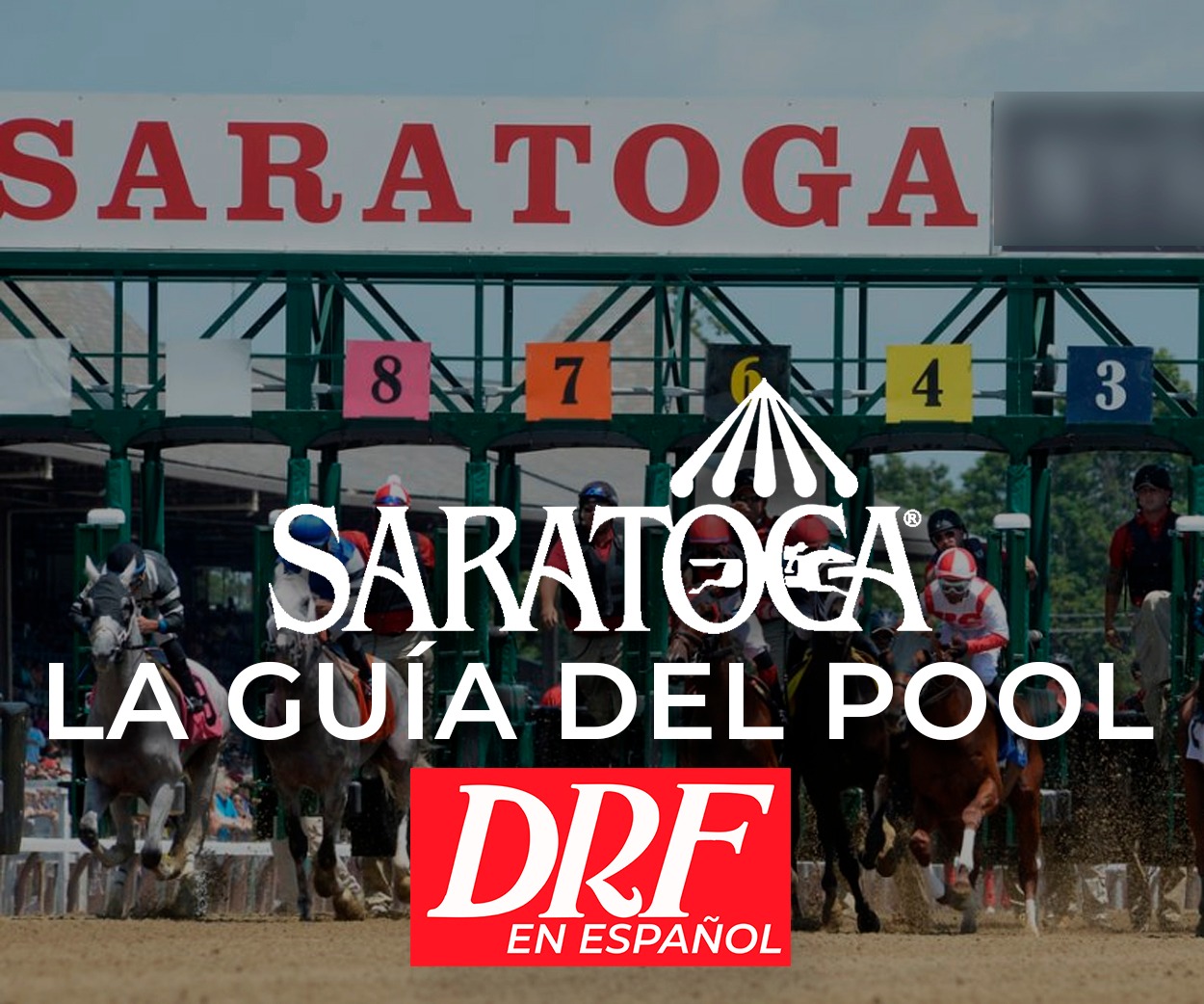 La Guia del Pool - Saratoga