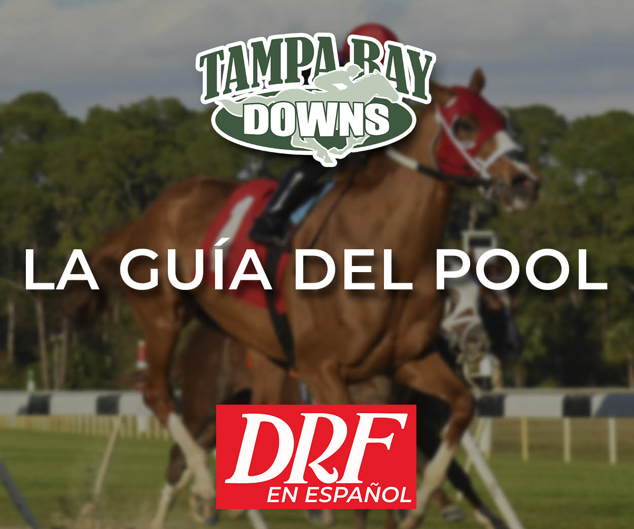 La Guia del Pool - Tampa Bay Downs
