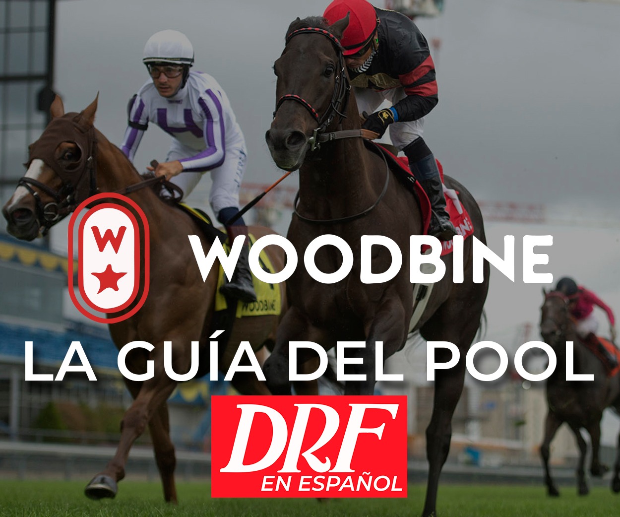 Woodbine - La Guia del Pool