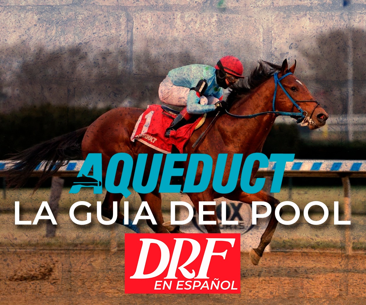 La Guia del Pool - Aqueduct