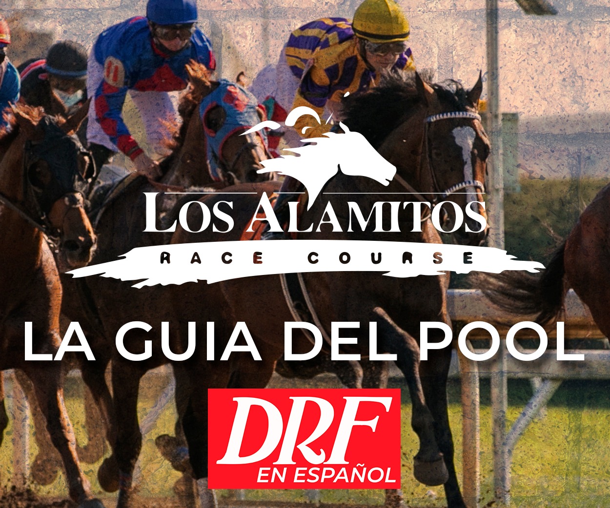 La Guia del Pool Los Alamitos