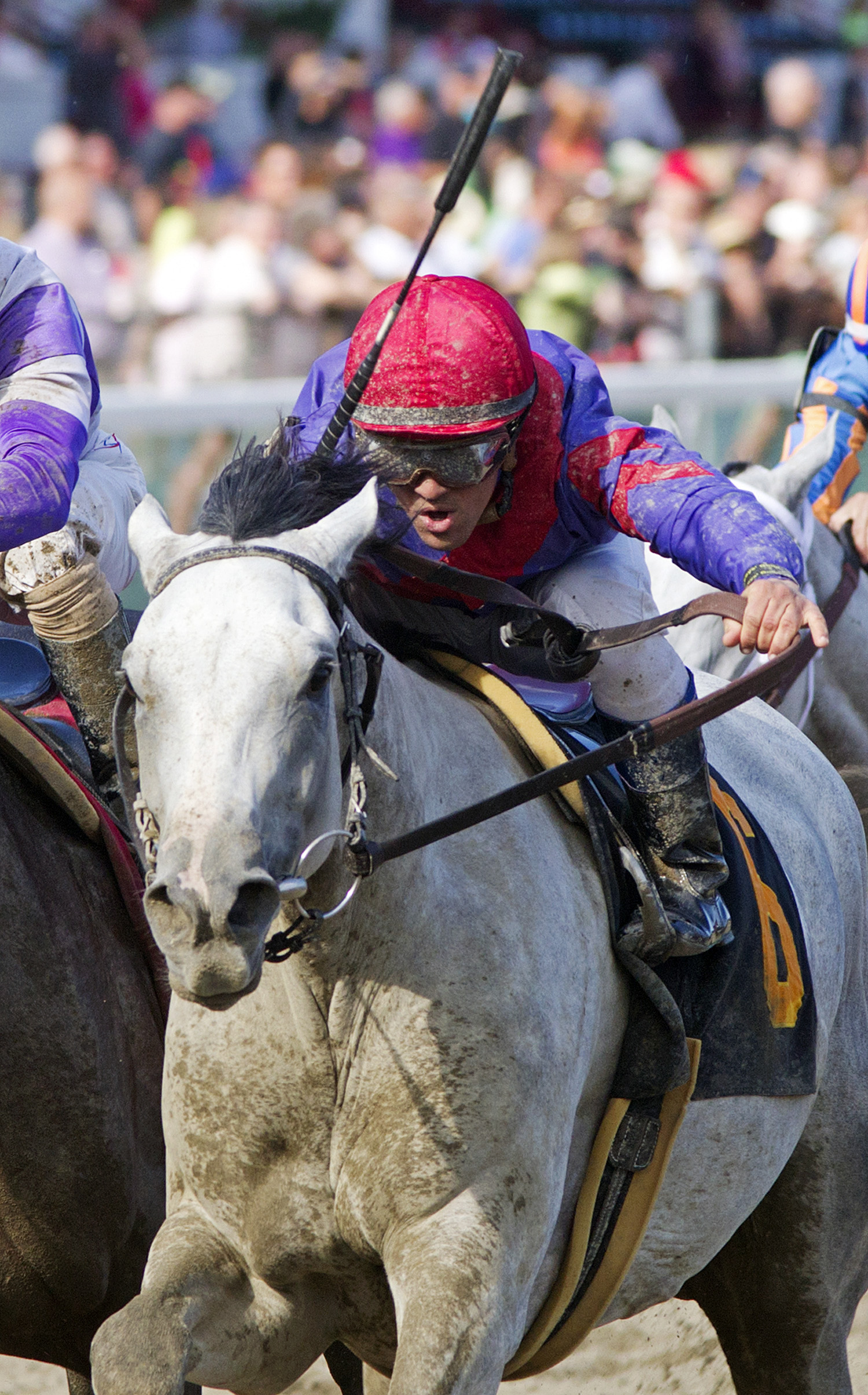 La Madrina wins an allowance race