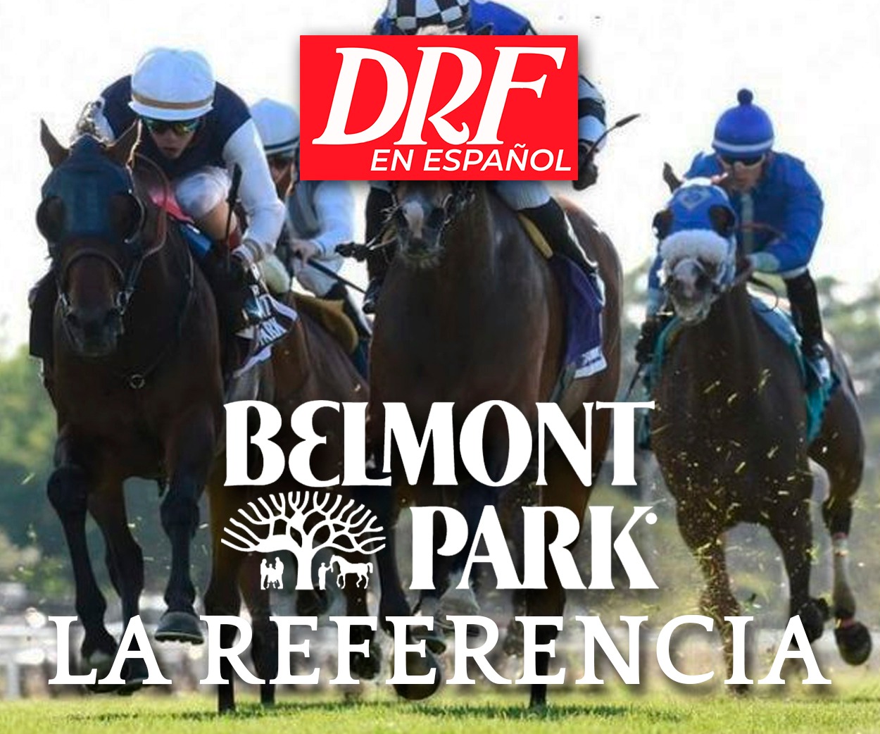 La Referencia - Belmont Park