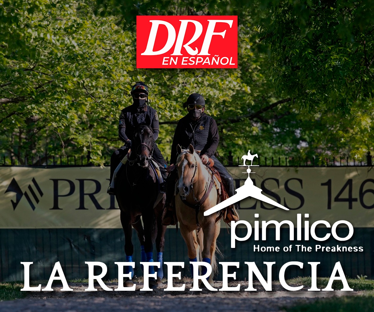 La Referencia - Pimlico