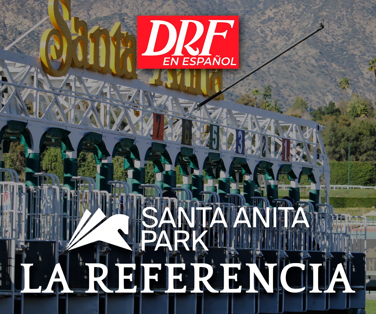 La Referencia - Santa Anita