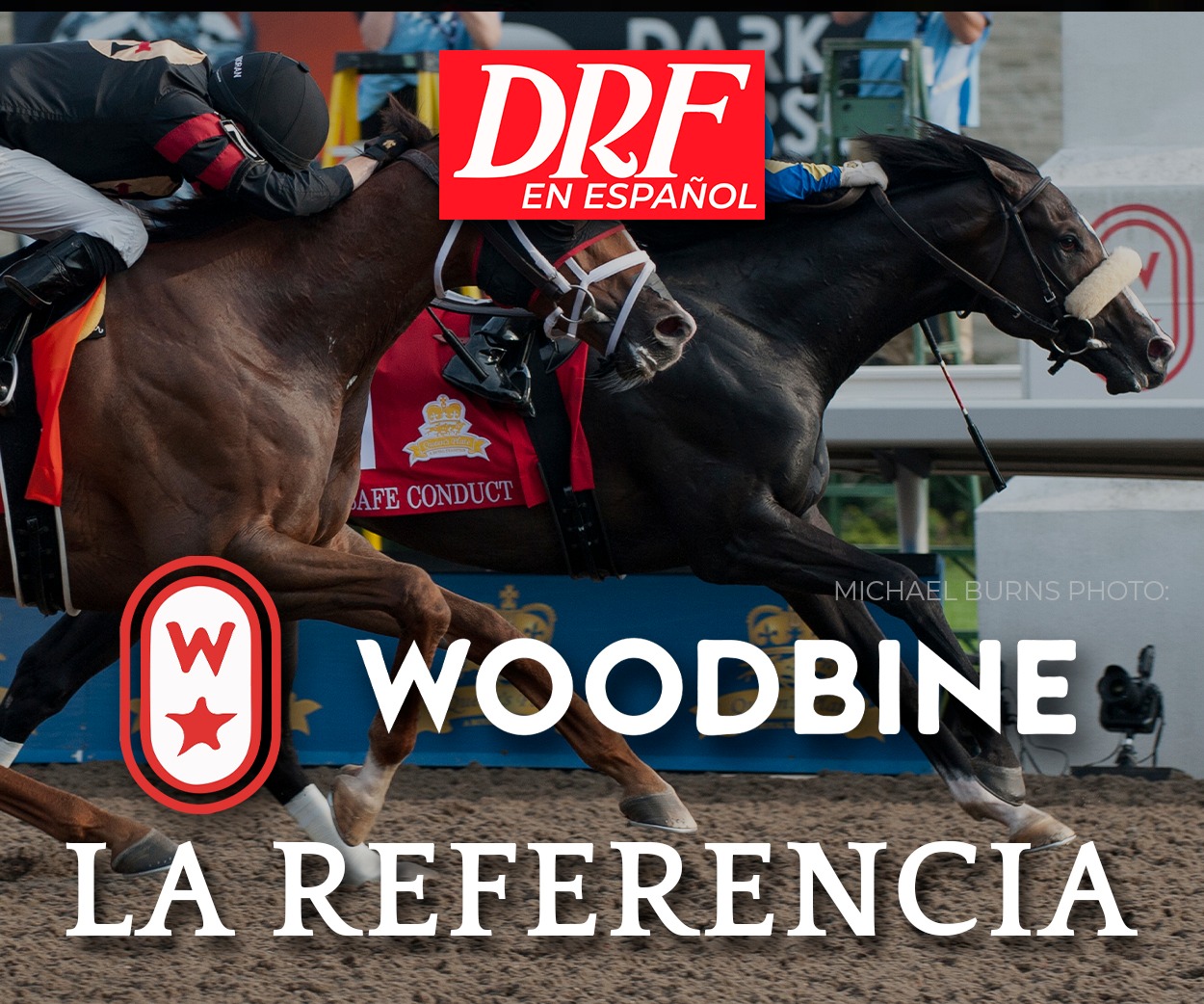 La Referencia - Woodbine