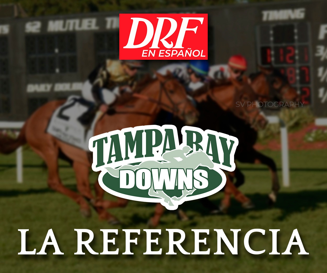La Referencia - Tampa Bay Downs