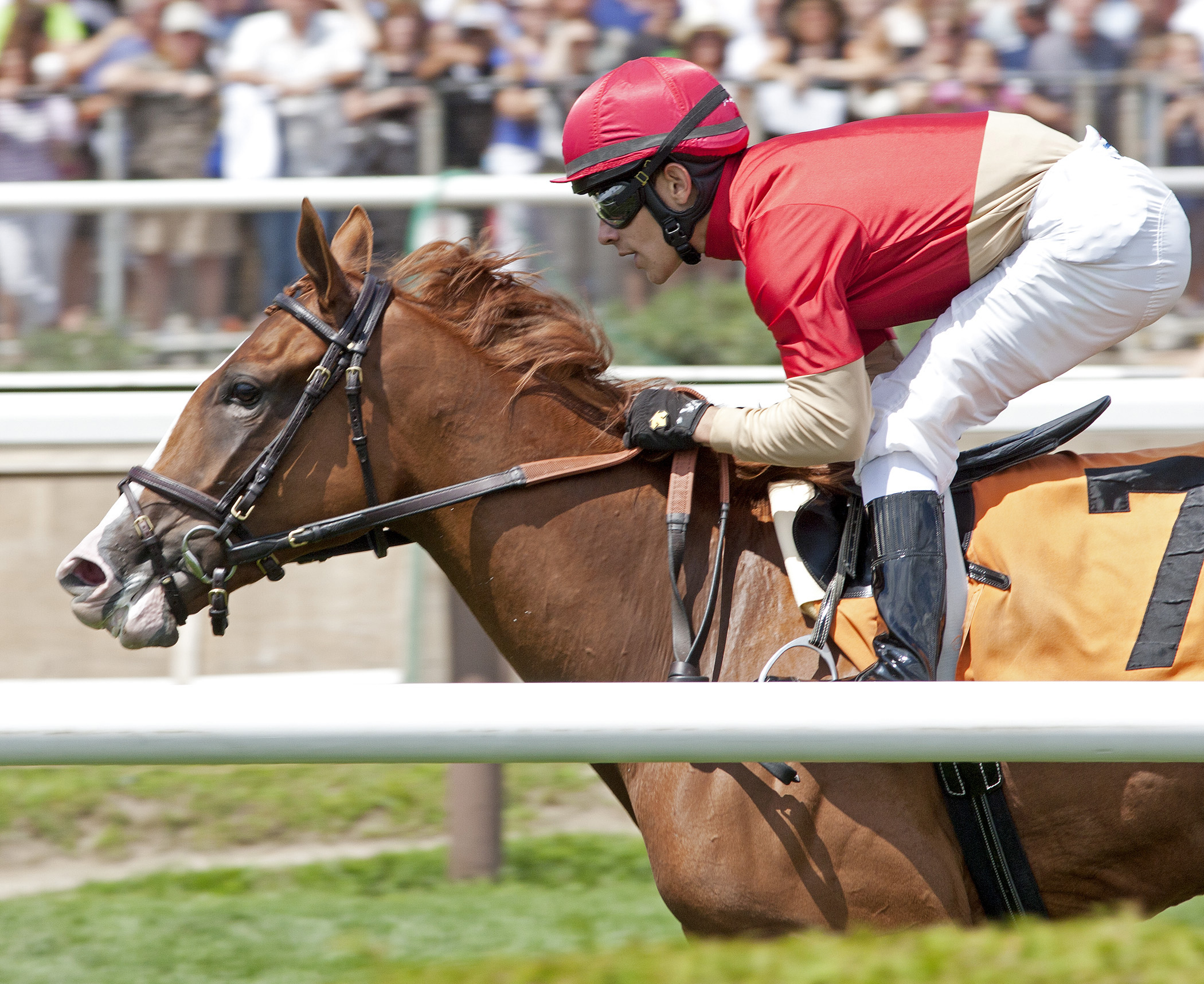 La Reine Bourbon, maiden win