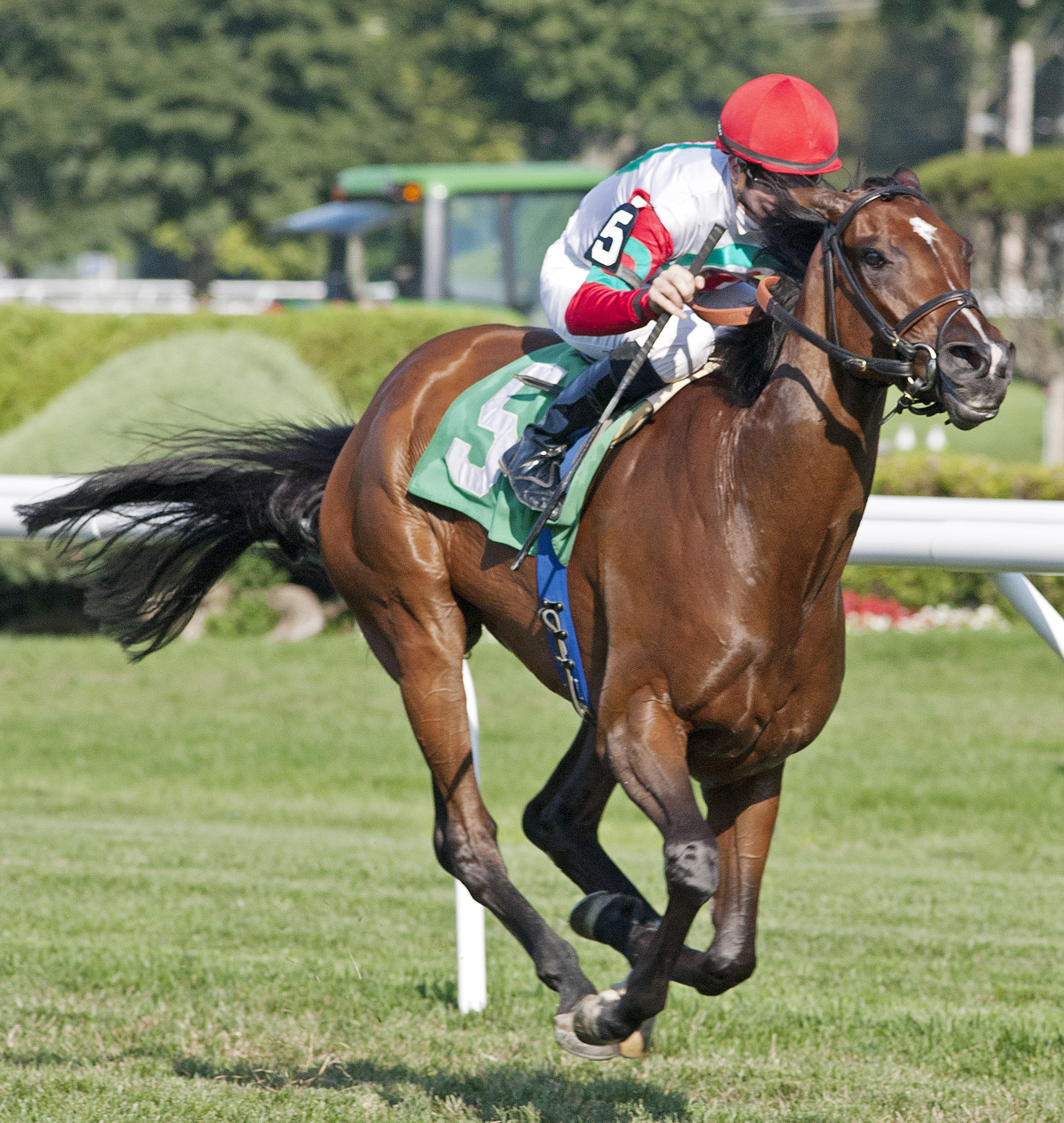 Weekend Warrior: Sweet Seventeen's speed could steal Busanda