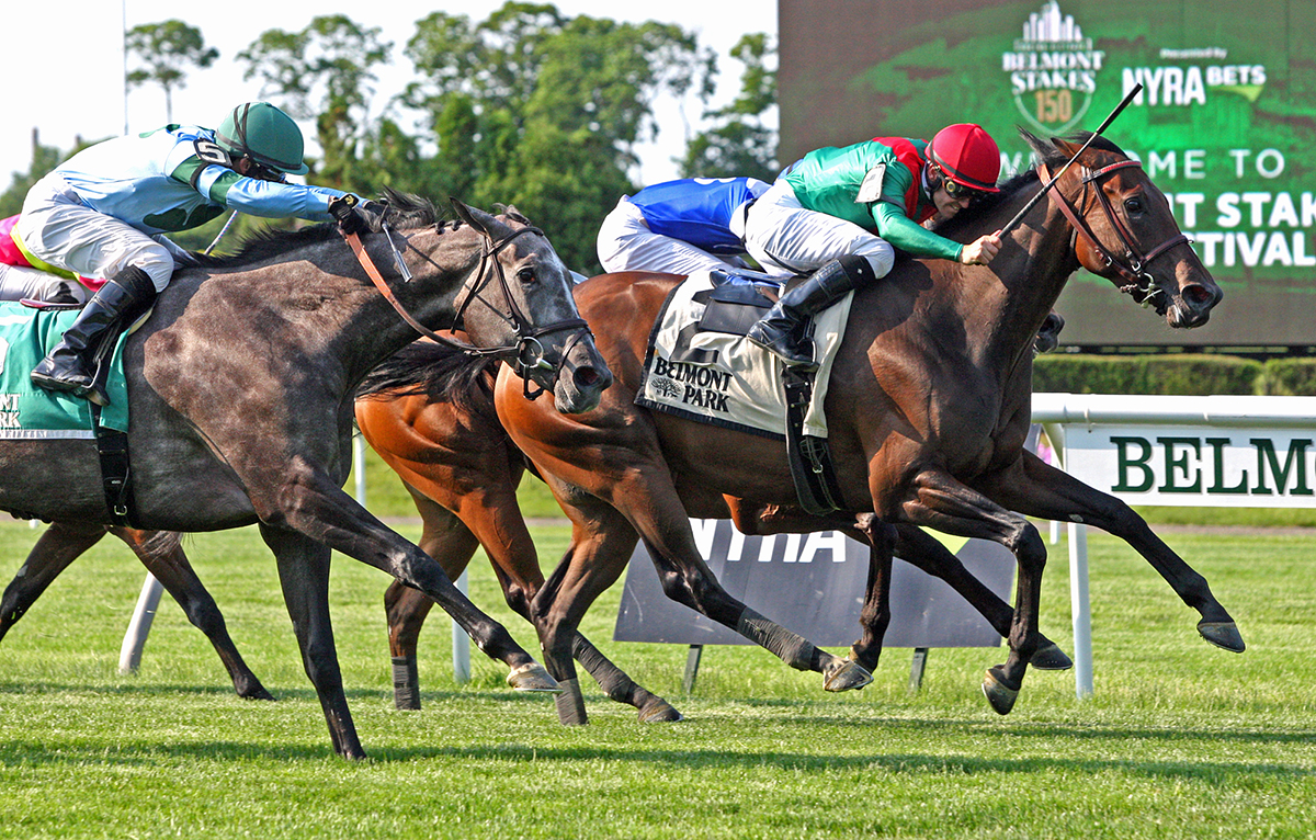 La Sardane wins the 2018 Intercontinental
