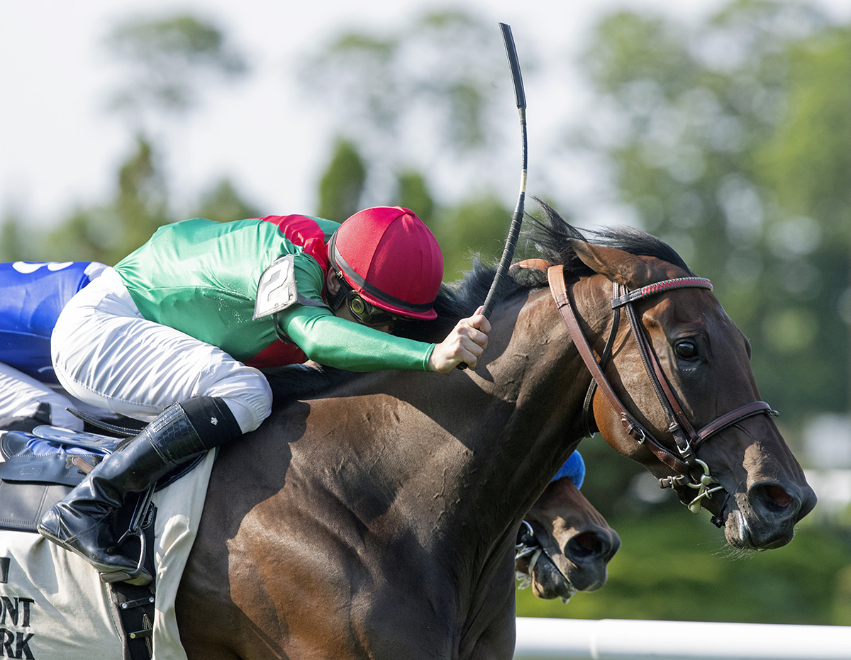 La Sardane wins the 2018 Intercontinental Stakes