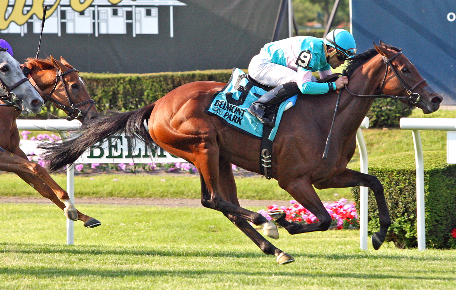 La Signare wins the 2018 Wonder Again