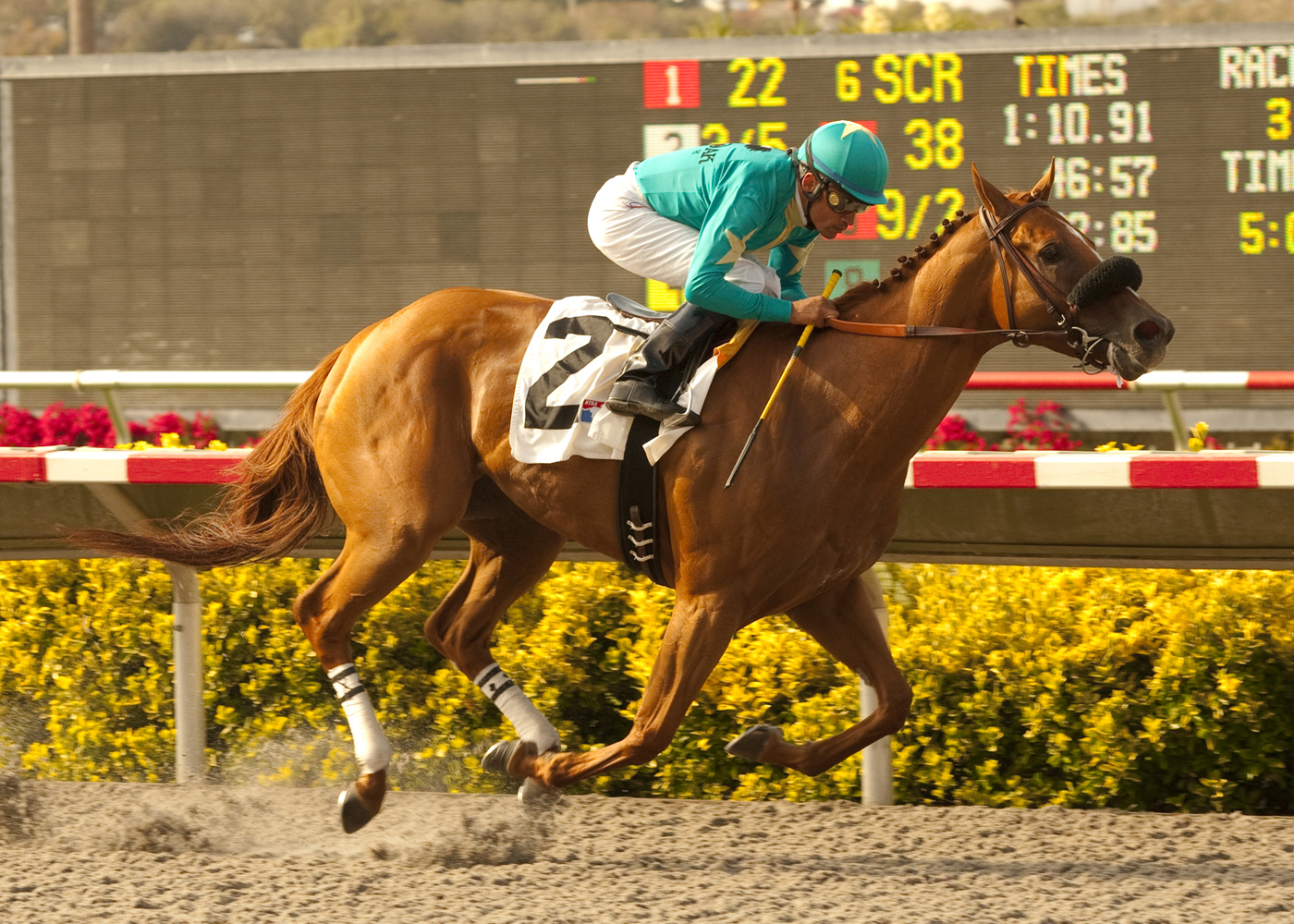 La Sombre/maiden win