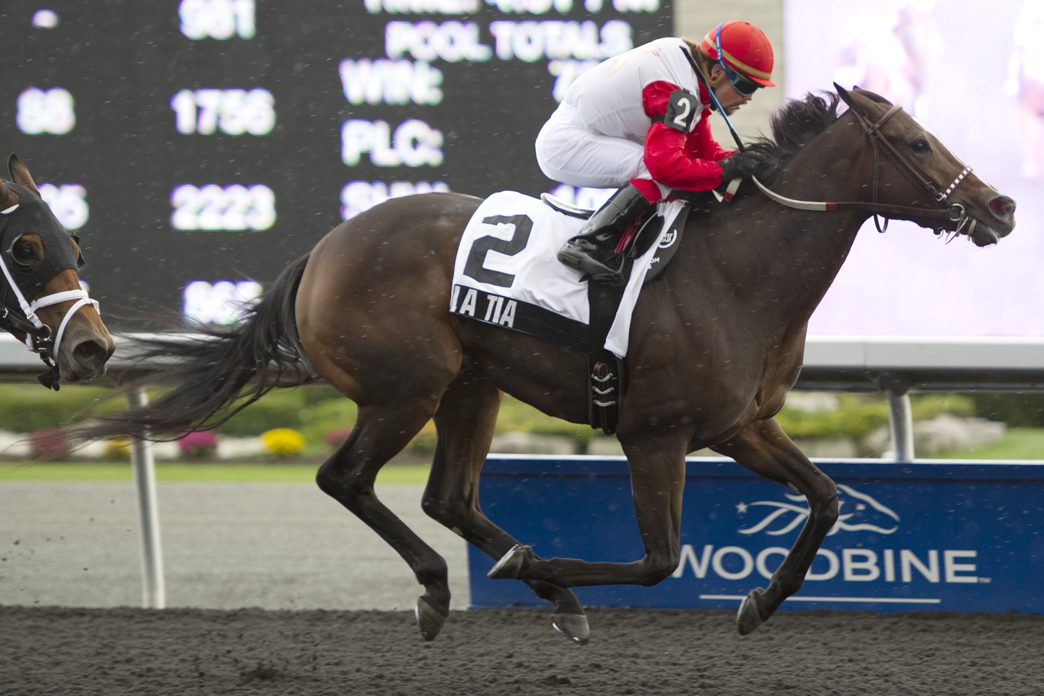 La Tia/La Lorgnette Stakes